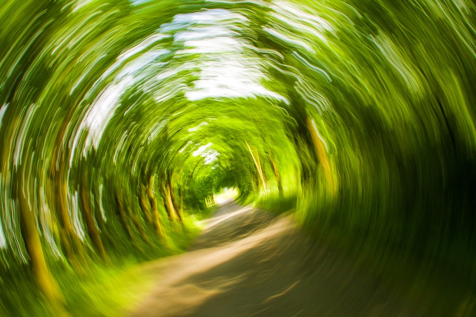 Should I talk to my Doctor or PT about my Dizziness?