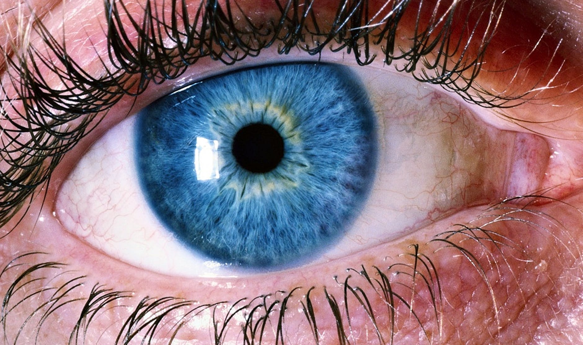 Close up of blue eye