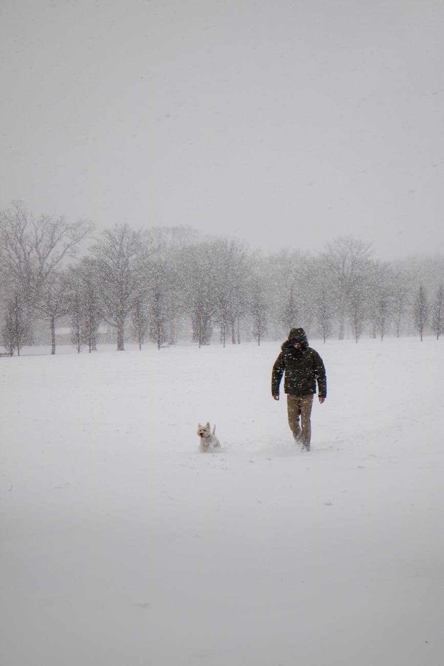 Man walking dog in the snow