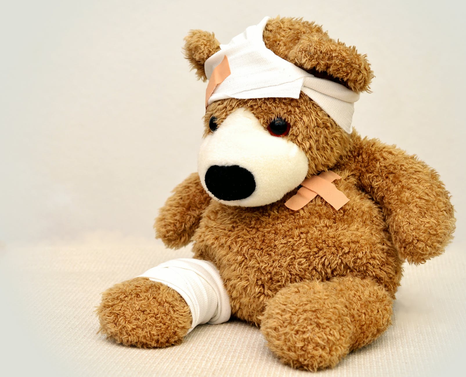 Injured bear after falling down